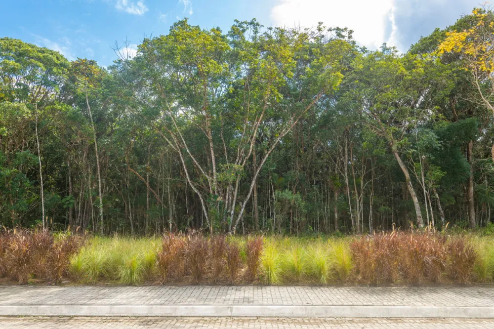 Terreno para venda no bairro Várzea do Ranchinho em Camboriú