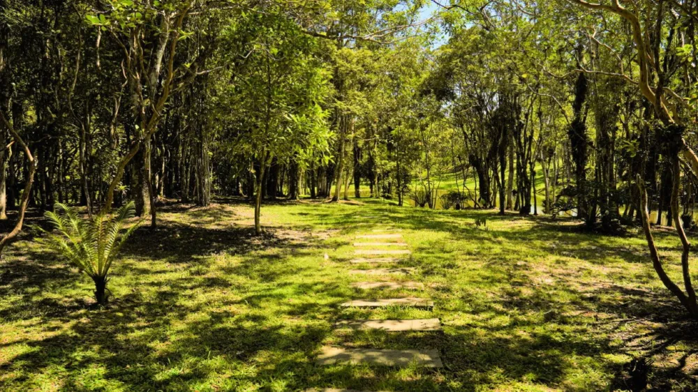 Terreno para venda no bairro Rio do Meio em Camboriú